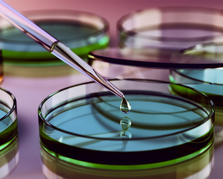 Mit einer Glaspipette wird ein Tropfen einer Flüssigkeit in eine Petrischale mit blauer Flüssigkeit gegeben